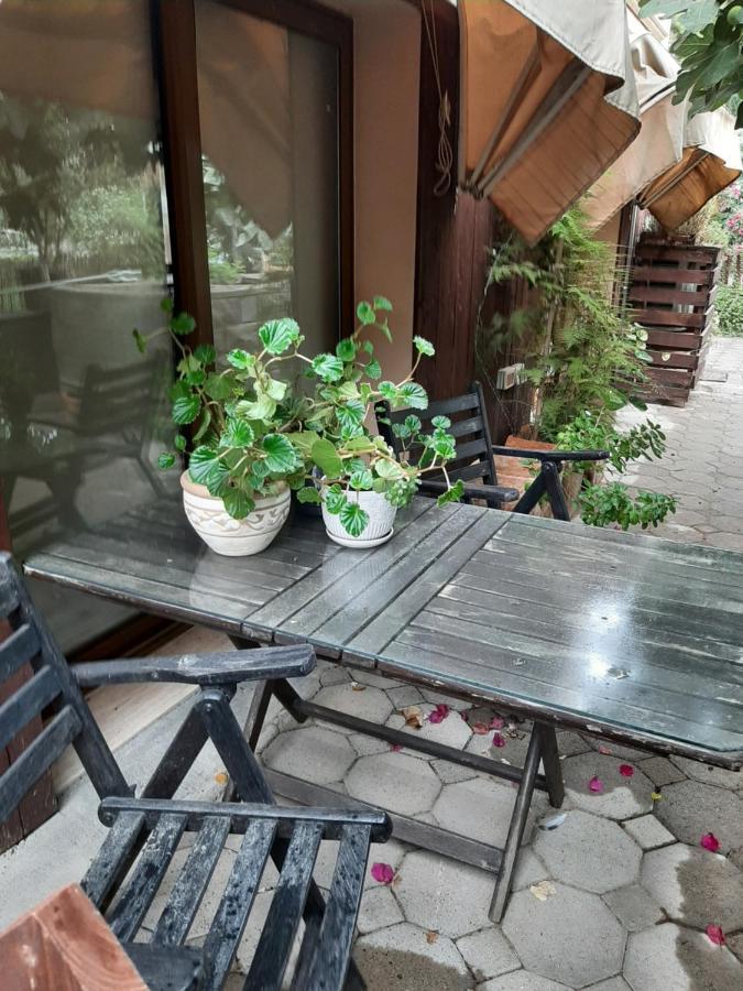 Appartement Denge Homes *